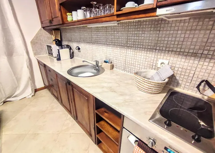 Large 1bd In 4star 公寓 班斯科