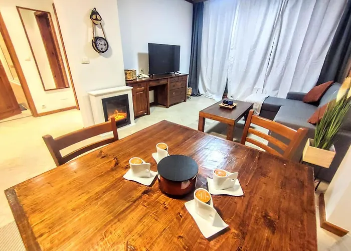 Large 1bd In 4star Банско